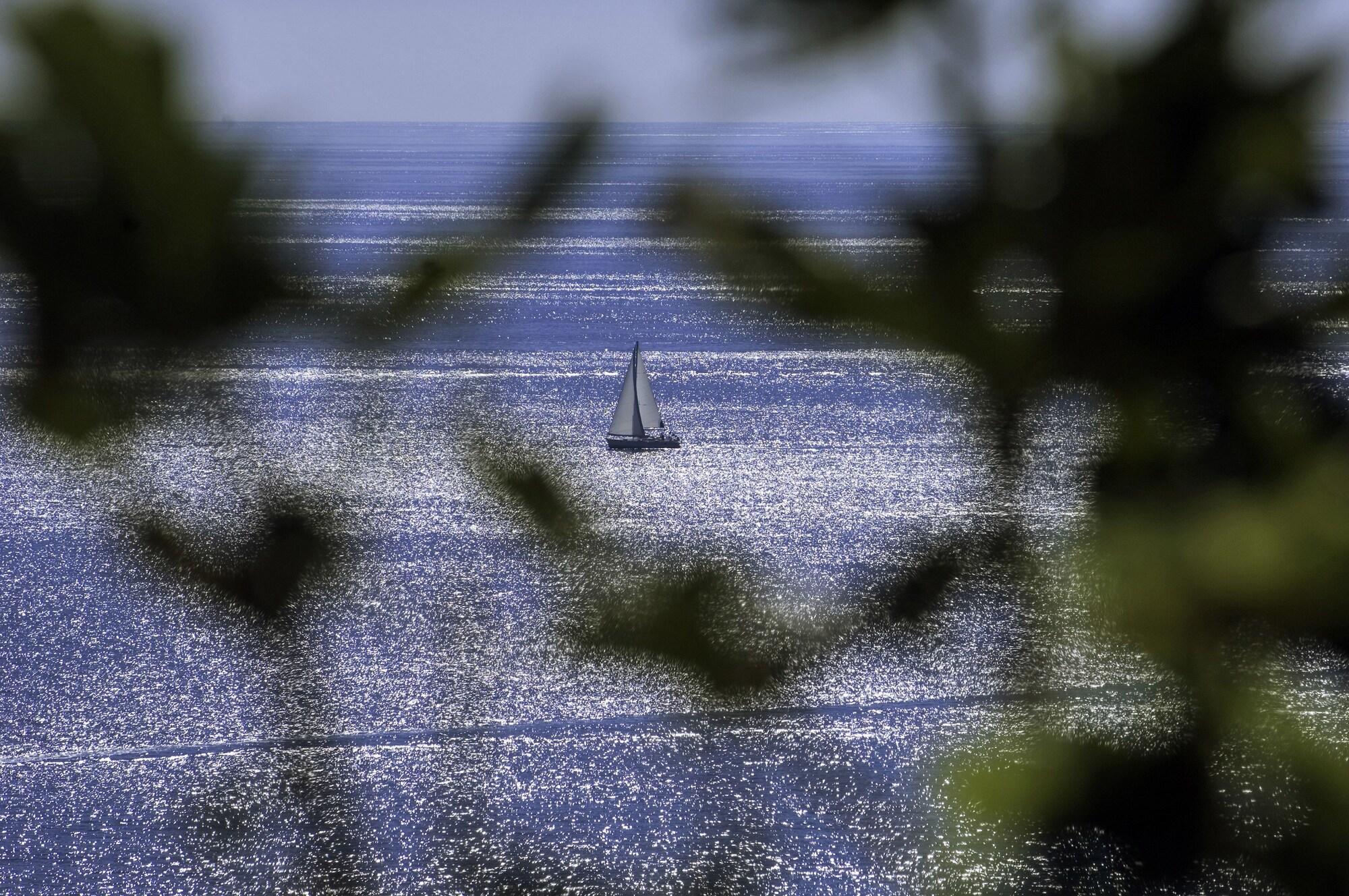 Rivalmare Beach Boutique Hotel - New! Novigrad Istria Εξωτερικό φωτογραφία